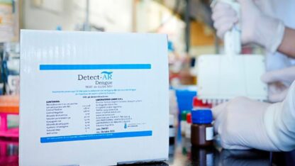 CIENCIA, CONICET, dengue, Kit Detect-Ar Dengue, noticias, Test