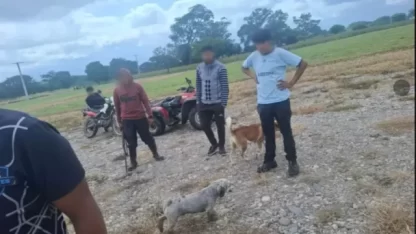 Etiquetas: jujuy, violencia animal