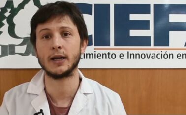 beca, CIEFAP, CIENCIA, CONICET, fulbright, noticias