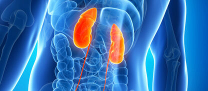 capacitación, Enfermedad Renal Crónica, salud, Seros