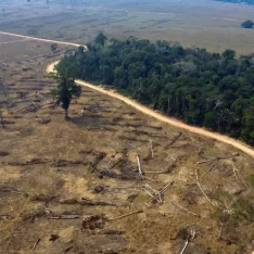 Brasil, deforestación, selva mazonica