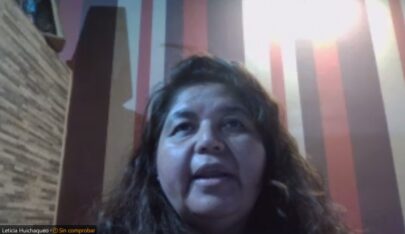 Etiquetas: Leticia Huichaqueo