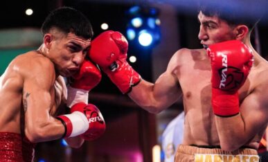 boxeo, Junior Narvaes, Omar Narváez, PROFESIONAL