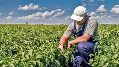desempleo, trabajadores rurales