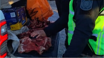 caza ilegal, guanacos, Policía de Chubut