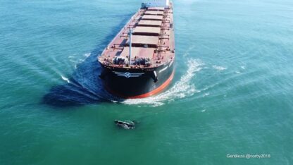 ballena, franca austral, medioambiente