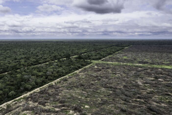 desmonte, medioambiente, Misiones