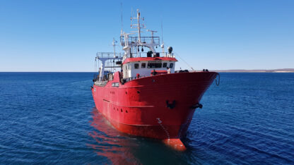 langostino, Pesca, prospección