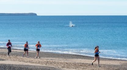 Estará restringido el acceso a Playa Las Canteras durante la Carrera Aventura Franca Austral
