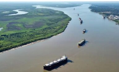 glifosato, medioambiente, parana