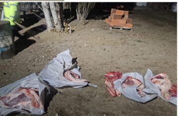 Carne, chubut, Diadema, policia rural, SENASA