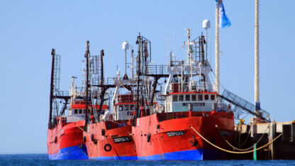 CAPIP, conarpesa, congeladores tangoneros, langostino, Pesca