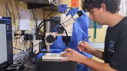 becas, cannabis, CIENCIA, CONICET