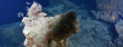 ¿Cómo defender los fondos marinos del saqueo minero?