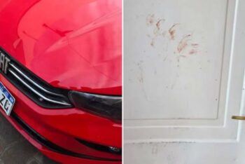 Un hombre fue detenido tras provocar daños en un domicilio y un vehículo en Trelew