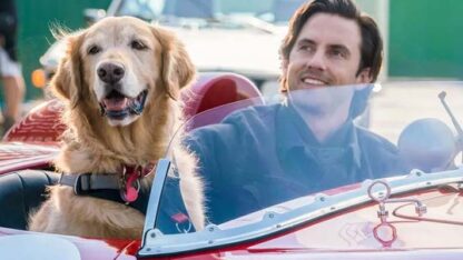 Cómo es «Mi amigo Enzo», la conmovedora película que es furor en Netflix