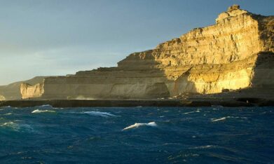 La influencia de la Patagonia en la teoría de la evolución