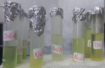 Becaria de Madryn estudia los usos de las microalgas marinas