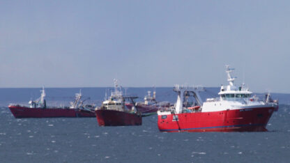 Etiquetas: acuerdo, capeca, CAPIP, cepa, SOMU, temporada de langostino