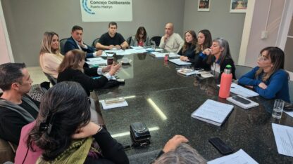 Etiquetas: Carta Orgánica, Concejo Deliberante, Madryn, REFERÉNDUM