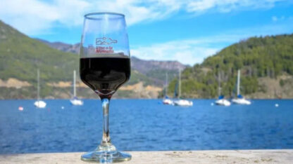 Una vidriera internacional para las bodegas patagónicas