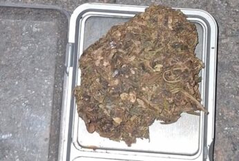 Etiquetas: Detenidos, marihuana, Menores