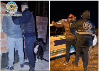 Etiquetas: Madryn, seguridad