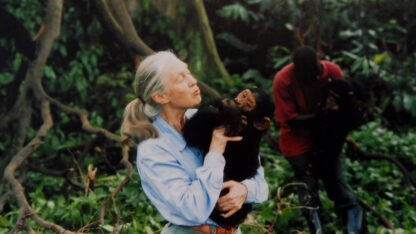 Murió la etóloga Jane Goodall