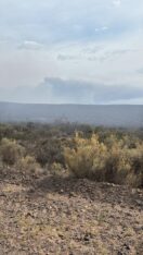 Etiquetas: bomberos voluntarios, incendio