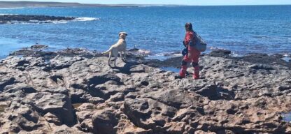 Etiquetas: búsqueda de personas, Comodoro Rivadavia, pareja desaparecida
