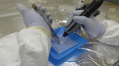 Etiquetas: CIENCIA, piel nueva, salud