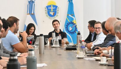 Etiquetas: chubut, gabinete, torres