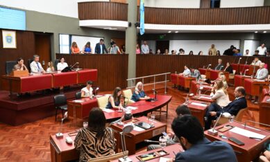 Etiquetas: chubut, Legislatura, senadores