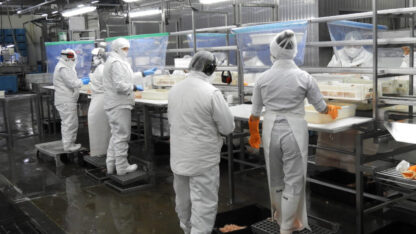 Etiquetas: chubut, Pesca, red chamber