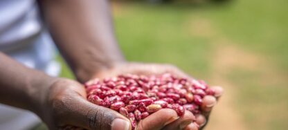 Etiquetas: Alimentos, calentamiento global, cambio climatico, medioambiente