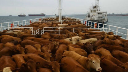 Etiquetas: internacionales, medioambiente, turquía, Uruguay