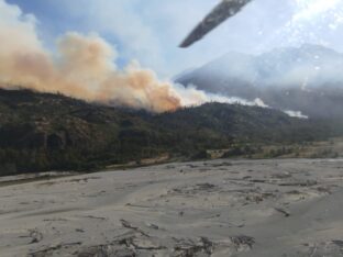 Etiquetas: brigadistas, Comarca Andina, el turbio, incedio forestal