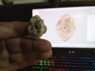 Etiquetas: CIENCIA, Corrientes, dinosaurio, paleontología