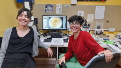 Etiquetas: CIENCIA, CONICET, hongos