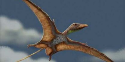 Cómo volaban los dinosaurios