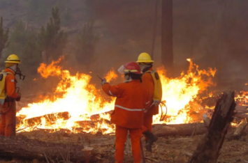 Etiquetas: incendios forestales, medioambiente, Patagonia