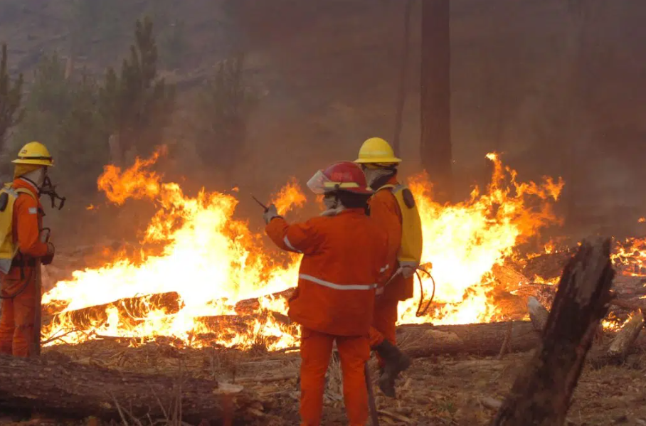 Alerta roja en la Patagonia Norte por riesgo de incendios