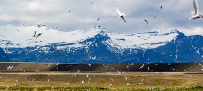 Etiquetas: artico, calentamiento global, cambio climatico, deshielo, medioambiente