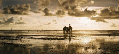 Etiquetas: calentamiento global, cambio climatico, la niña, medioambiente