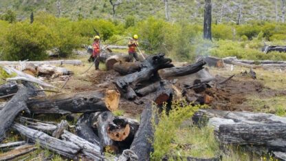 Etiquetas: Comarca Andina, el turbio, incendio forestal
