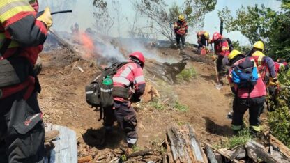 Etiquetas: Comarca Andina, el turbio, incendio forestal