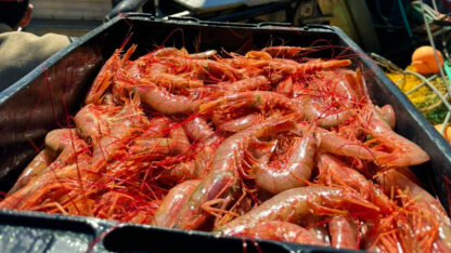 Etiquetas: CAPIP, chubut, del Mar a la Mesa, Pesca