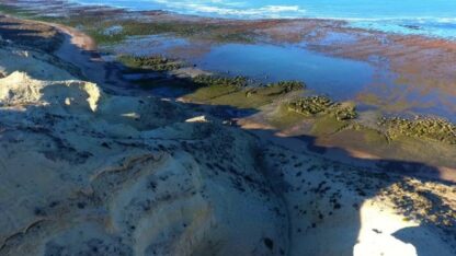 Etiquetas: ahogado, punta delfín, Rawson