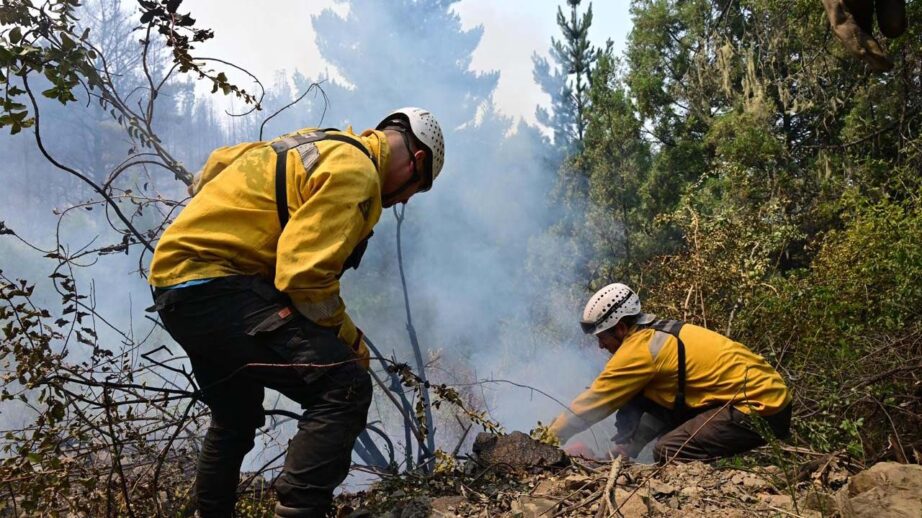 bomberos voluntarios, brigadistas, incendio forestal, puerto patriada