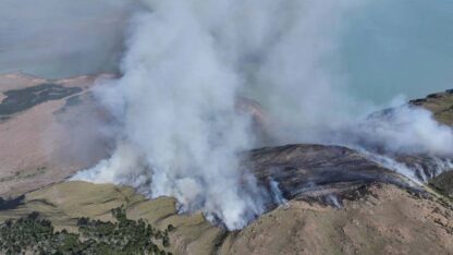Etiquetas: incendio forestal, Parque Nacional Los Glaciares, Santa Cruz, snmf